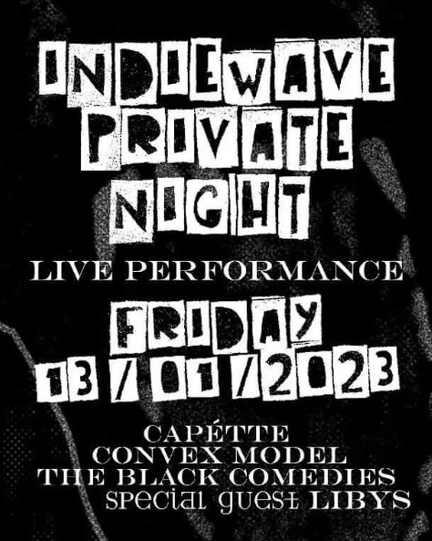 IndieWave Private Night vinyl record event banner